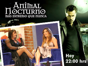 animalNocFlorencia_hoy.jpg